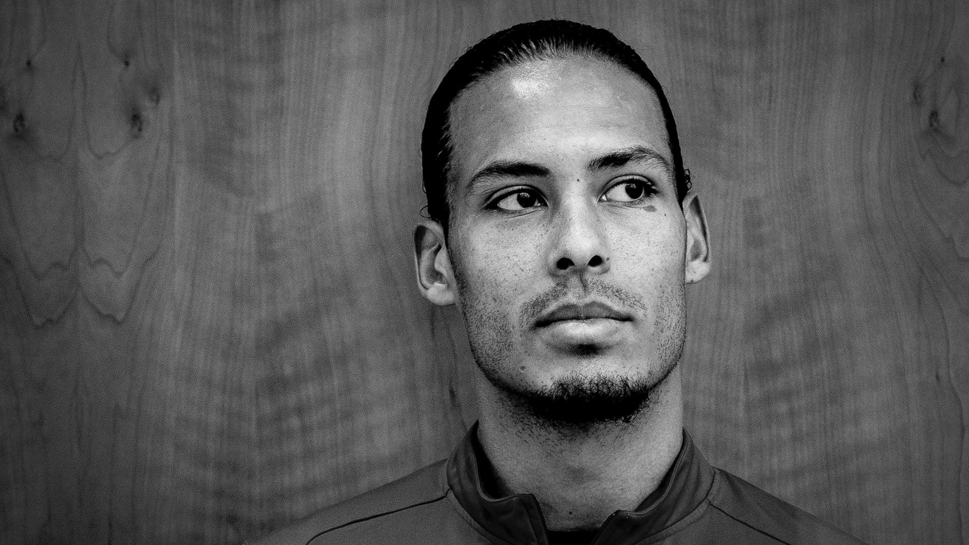 拥有极高的 拥有极高的