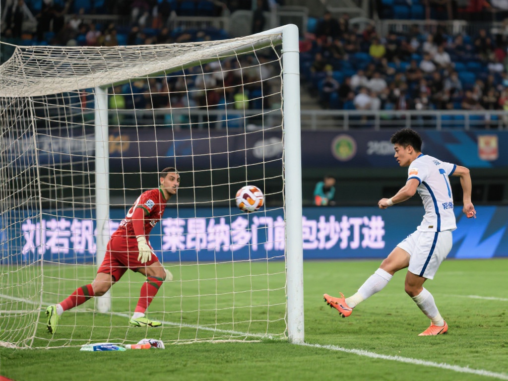 未来展望 未来展望